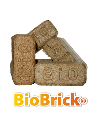 Bio Bricks